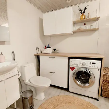 Northern Lights Apartment In City Of Rovaniemi Huoneisto