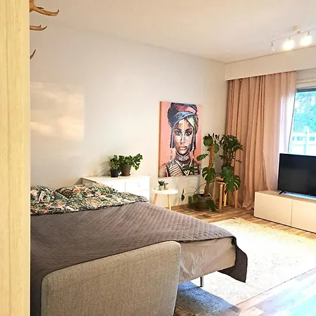 Northern Lights Apartment In City Of Rovaniemi Huoneisto
