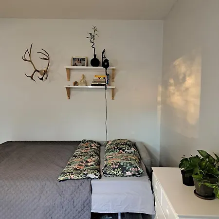 Huoneisto Northern Lights Apartment In City Of Rovaniemi Rovaniemi